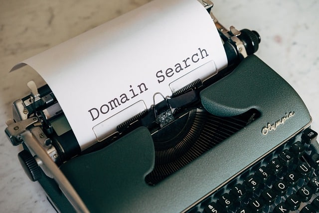 Domain search